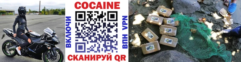 где можно купить   Борзя  Cocaine FishScale 