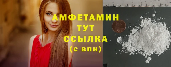 крисы Баксан