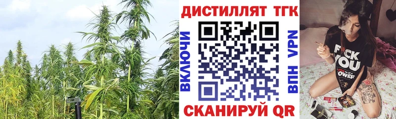 ТГК Wax  Борзя 