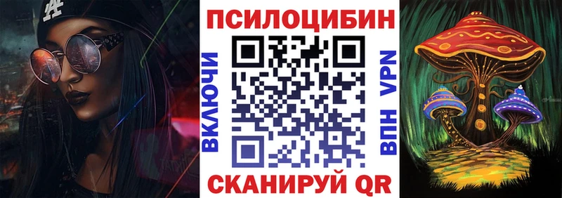Псилоцибиновые грибы Psilocybe где можно купить Борзя